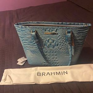 Brahmin Purse